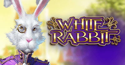 White Rabbit at Mr Jones Casino